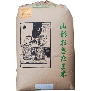 つや姫 新米つや姫 令和7年産 山形県産 特別栽培米 お米 10kg 玄米