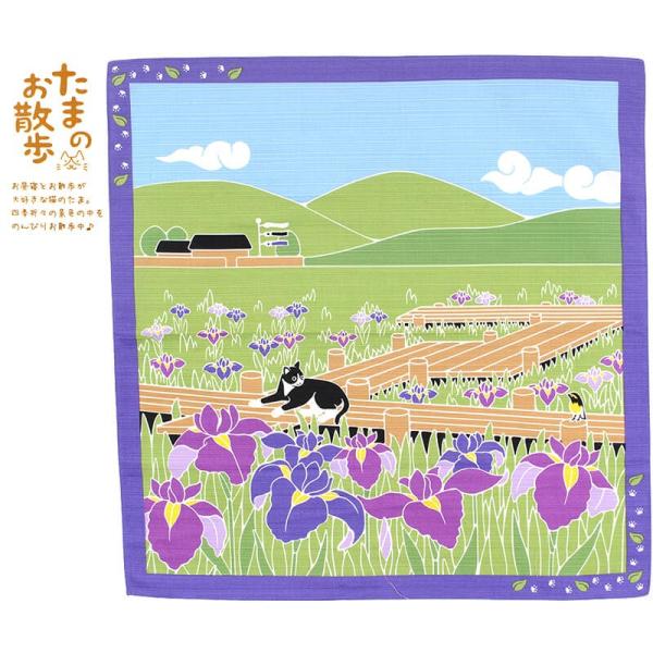 小風呂敷 花菖蒲 5月 中巾 たまのお散歩 春 あやめ 猫 ねこ 約50×50cm MSTO-005