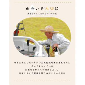 【令和7年産米使用】国内産 ほほえみ米 10k...の詳細画像3