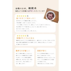 雑穀 800g 国産 雑穀米 こめ田雑穀 玄米...の詳細画像1