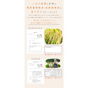 令和7年 岡山県産 にこまる 10kg (5k...の詳細画像3