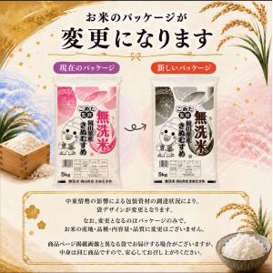 令和7年 岡山県産 きぬむすめ 無洗米 10k...の詳細画像1