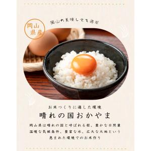 令和7年 岡山県産 にこまる 無洗米 10kg...の詳細画像3