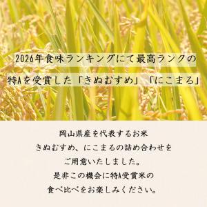 令和7年 岡山県産 きぬむすめ にこまる 無洗...の詳細画像4
