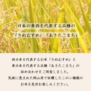 令和7年 岡山県産 きぬむすめ あきたこまち ...の詳細画像4