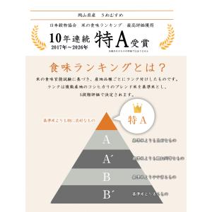 令和7年 岡山県産 きぬむすめ あきたこまち ...の詳細画像3
