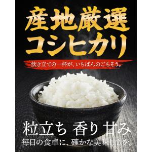 令和7年 産地厳選 コシヒカリ 10kg (5...の詳細画像2