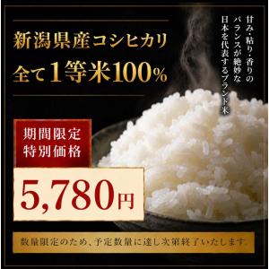 令和7年 産地厳選 コシヒカリ 10kg (5...の詳細画像2