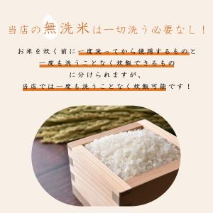 令和7年 無洗米 国内産 こめたくん 無洗米 ...の詳細画像5