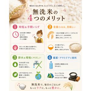 令和7年 無洗米 国内産 こめたくん 無洗米 ...の詳細画像3