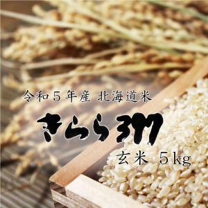 米 米5kg お米 北海道米 きらら３９７ 玄米 ５ｋｇ 令和５年産 送料無料　｜komeya-kasai