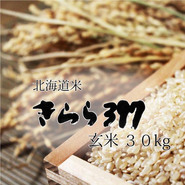 米 米30kg 玄米 お米 北海道米 きらら３９７ 30kg 令和７年産 精米無料 送料無料　