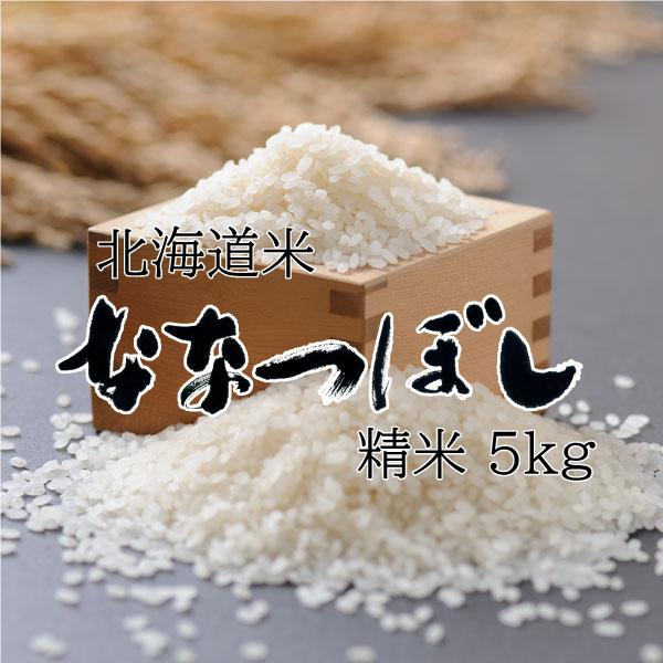 米 米5kg 白米 お米 北海道米 ななつぼし 5kg 令和７年産 送料無料