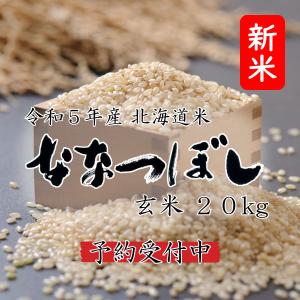 米 米20kg お米 北海道米 ななつぼし 玄米 20kg 5kg×4 令和５年産 送料無料｜komeya-kasai