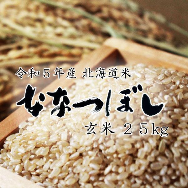 米 米25kg 北海道米 ななつぼし 玄米 25kg 5kg×5 令和５年産 送料無料 お米