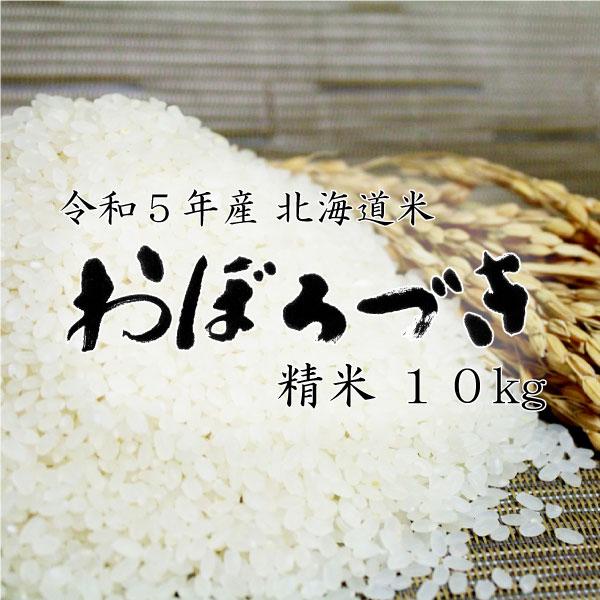 米 米10kg お米 北海道米 おぼろづき 白米 10kg 5kg×2 令和５年産 送料無料　