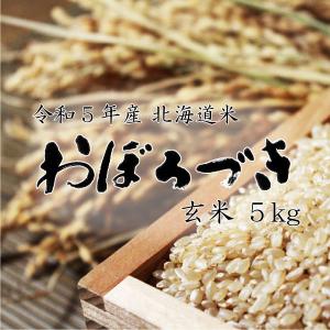 米 米5kg お米 北海道米 おぼろづき 玄米 5kg 令和５年産 送料無料　｜komeya-kasai