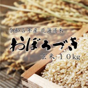 米 米10kg お米 北海道米 おぼろづき 玄米 10kg 5kg×2 令和５年産 送料無料　｜komeya-kasai