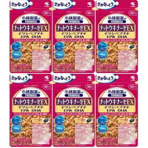 小林製薬 ナットウキナーゼEX 60粒 ×6個 イワシペプチド EPA DHA サプリメント 納豆 青魚 血流《1セットまでクロネコゆうパケット》｜米屋薬店