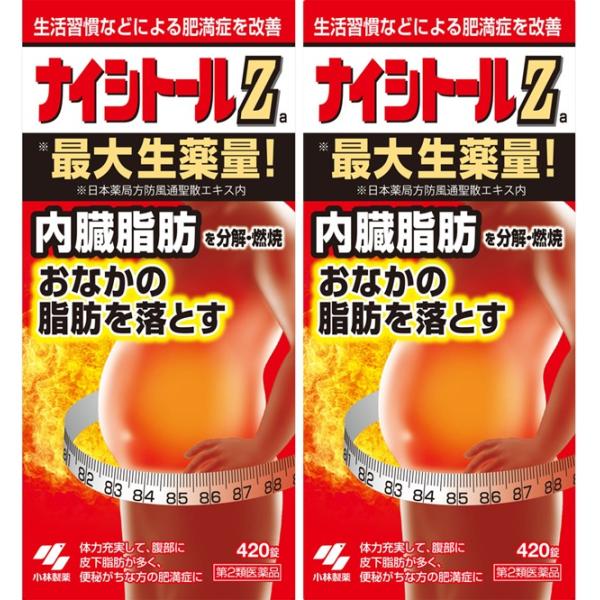 （2個セット）【第二類医薬品】 小林製薬 ナイシトールＺａ 420錠