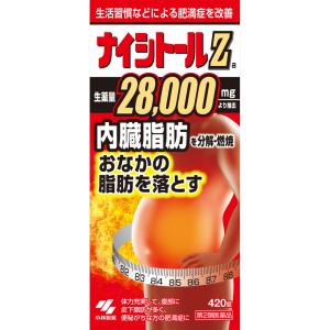 【第二類医薬品】 小林製薬 ナイシトールＺａ 420錠