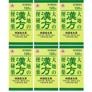 便秘・腹部膨満・にきびに｜大地の漢方便秘薬 120錠×6個セット 大黄甘草湯 純国産生薬 信州大黄・都甘草配合 第二類医薬品｜米屋薬店