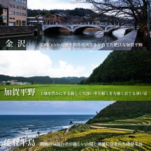 米 10kg コシヒカリ 石川県 5kg×2袋...の詳細画像1