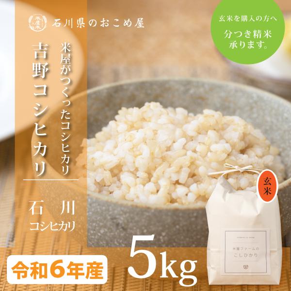玄米 5kg コシヒカリ 石川県産 令和6年 新米 吉野こしひかり 5キロ 送料無料