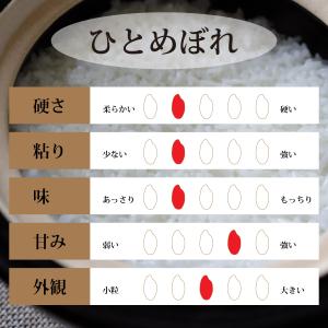玄米 10kg ひとめぼれ 石川県産 令和6年...の詳細画像2