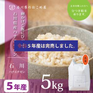 玄米 5kg ハナエチゼン 石川県産 令和5年 新米 5キロ｜komeya188