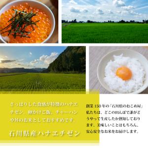 玄米 5kg ハナエチゼン 石川県産 令和7年...の詳細画像1