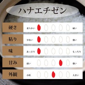 玄米 5kg ハナエチゼン 石川県産 令和7年...の詳細画像2