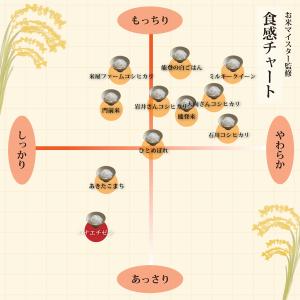 玄米 5kg ハナエチゼン 石川県産 令和7年...の詳細画像3