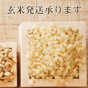 サマーセール 5kg 新潟産 コシヒカリ 白米...の詳細画像1