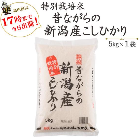 令和５年産　お米　5kg  特別栽培米 昔ながらの新潟産こしひかり　5kg×1袋　送料無料（一部地域...