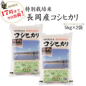 令和７年産 白米 10kg 新潟県 特別栽培米 長岡産コシヒカリ 5kg×2  当日発送 ※送料無料(一部地域を除く)