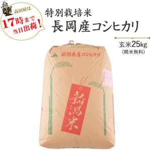 令和3年産 お米25kg  特別栽培米 長岡産コシヒカリ 玄米25kg / 白米4.5kg×5袋 当日発送