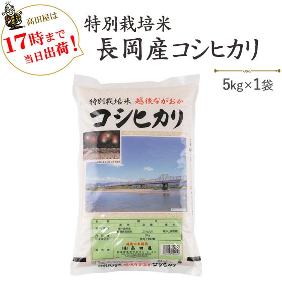 令和７年産　新米　お米　白米　5kg 新潟県 特別栽培米長岡産コシヒカリ　5kg×1袋　送料無料（一...