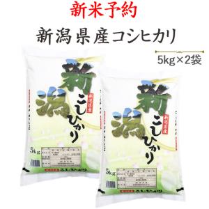 新米予約 令和８年産 お米 10kg 新潟県産コシヒカリ 5kg×2袋 ※送料無料(一部地域を除く) ※9月１０日(木)当店出荷予定