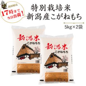 もち米 玄米 30kg 新羽二重糯 京都丹後産 「令和7年産