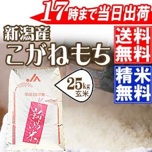 もち米25kg 平成30年産　特別栽培米〔もち米〕新潟産こがねもち玄米25kg(精米無料)※送料無料(一部地域を除く)