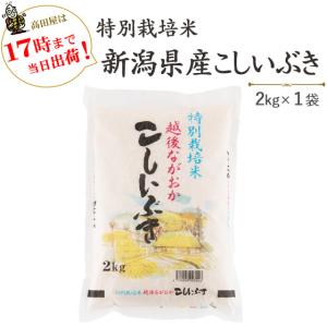 令和５年産　お米　2kg　白米　特別栽培米新潟産こしいぶき2kg(送料別)　当日発送