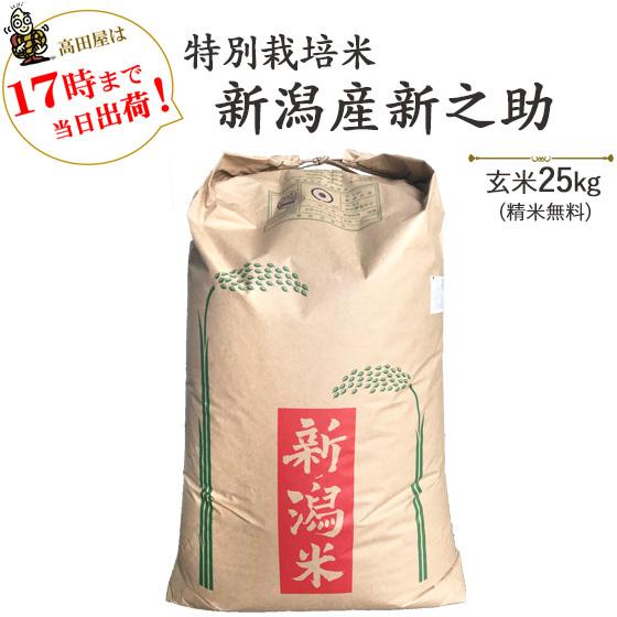 令和５年産　お米 25kg　特別栽培米新潟産「新之助」　玄米25kg / 白米4.5kg×5袋　当日...