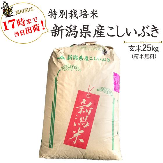 令和５年産 25kg 特別栽培米 新潟産こしいぶき 玄米25kg×1袋 / 白米4.5kg×5袋（精...