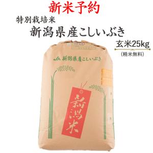 新米　令和４年産　お米25kg 特別栽培米 新潟県産こしいぶき
