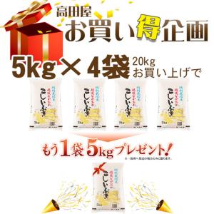 新米 令和8年産 新潟県産こしいぶき 5kg ...の詳細画像1