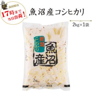 コシヒカリ 令和7年産 魚沼産コシヒカリ 10kg (5kg×2袋) お米 送料