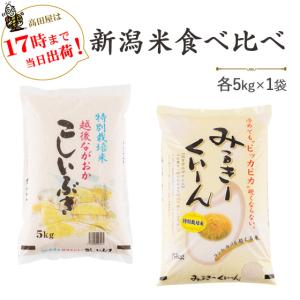こしいぶき お米 新潟県産 白米 10kg (5kg×2個) 令和7年産【本州送料