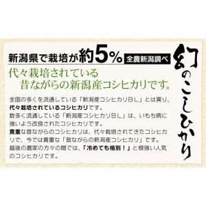 令和7年産 お米 10kg 特別栽培米 昔なが...の詳細画像1