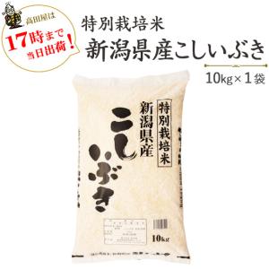 令和５年産　お米　10kg　白米　特別栽培米 新潟産こしいぶき10kg×1袋　送料無料（一部地域を除く）